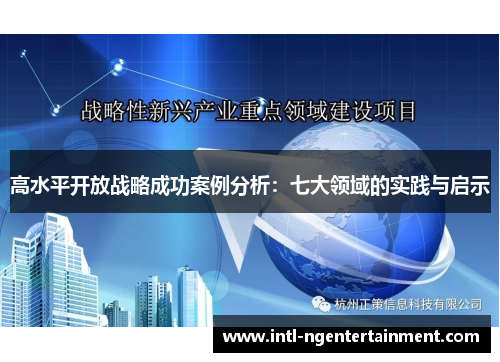 高水平开放战略成功案例分析:七大领域的实践与启示 高水平开放战略成功案例分析:七大领域的实践与启示